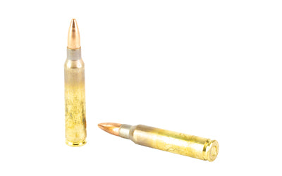 WIN M193 5.56 55GR FMJ 20/1000